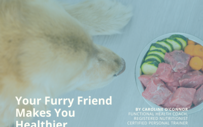Your Furry Friend Makes You Healthier!